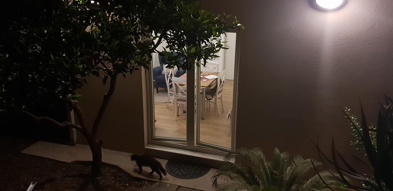 Garden Apartmant Near Sea Kotor Luaran gambar